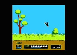 Duck Hunt